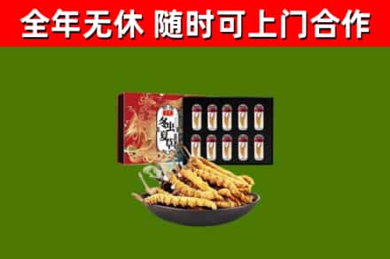 盘山县回收冬虫夏草价格